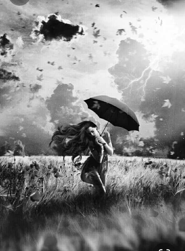 Screenshot_20231031_114622_Pinterest