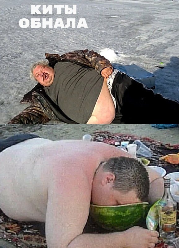 МЭМ КИТЫ ОБНАЛА