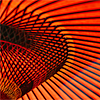 orange-03