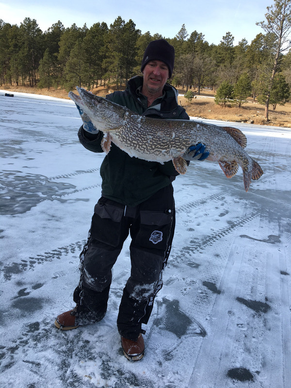 lakota pike