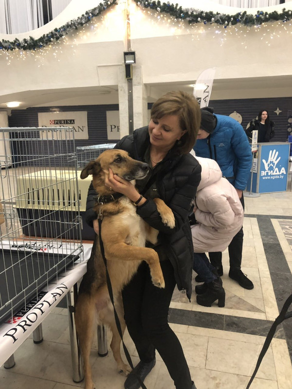 F79D4DB9-D7E3-44E6-BABC-385323AA1782