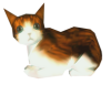 cat.png