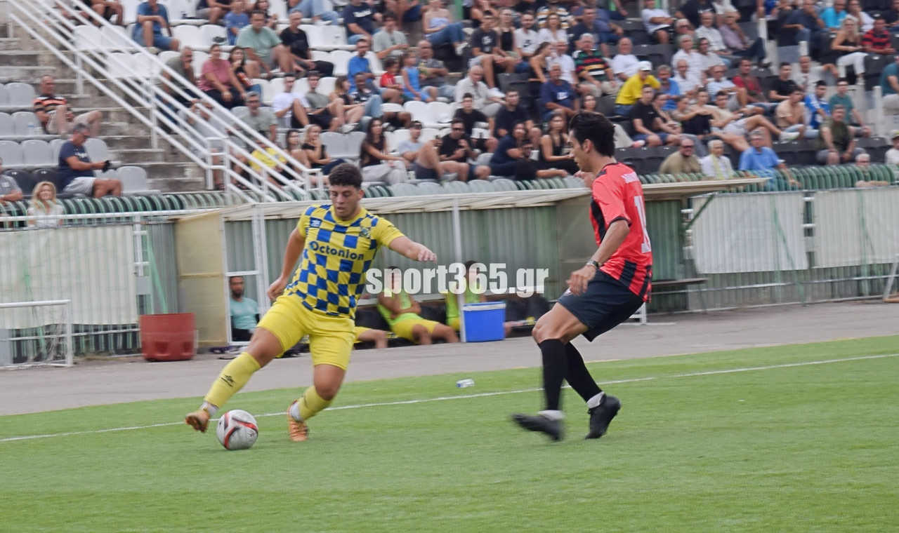 sp-panthou-panax-2-19-20250907