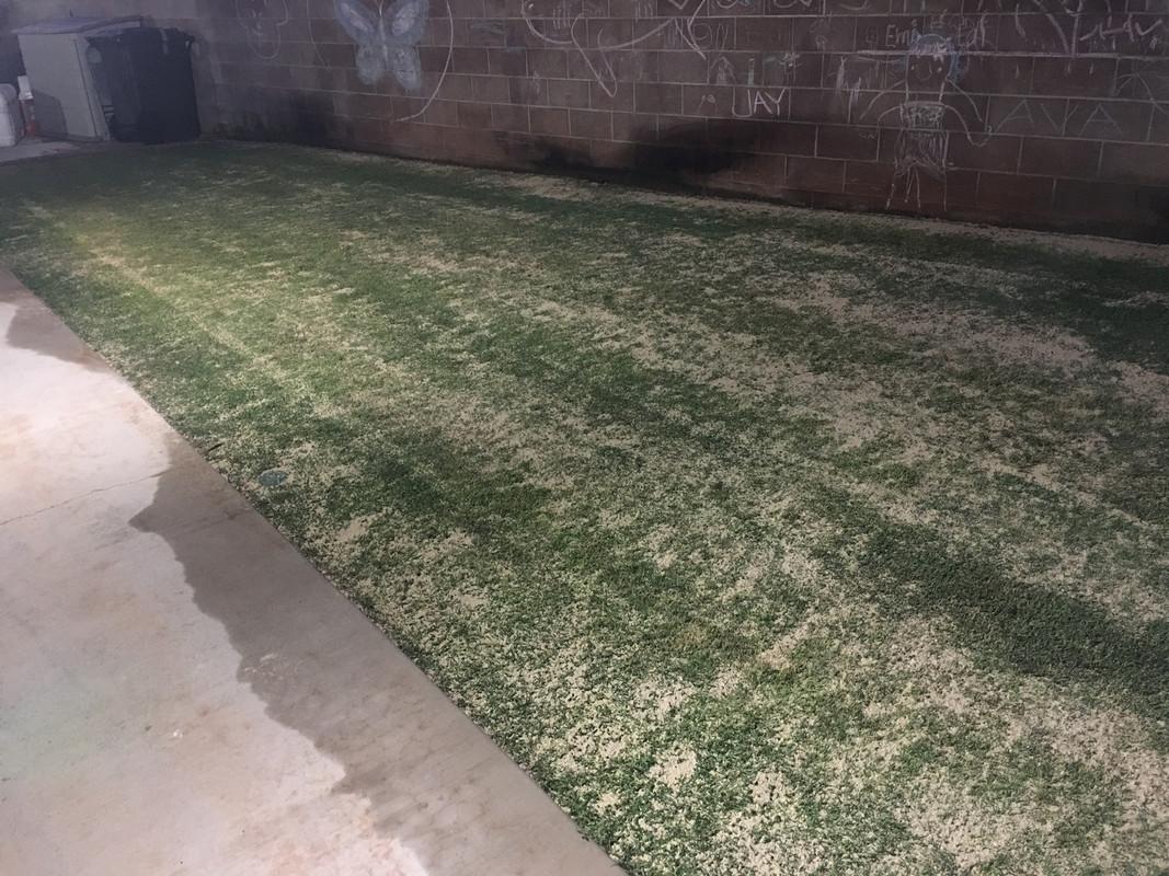 CF9A15AC-F26B-4ACB-A553-B10B70312D87