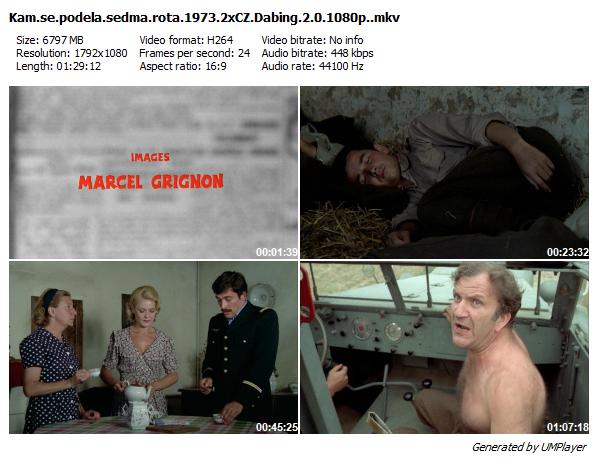 Kam se poděla sedmá rota? / Mais où est donc passée...(1973)