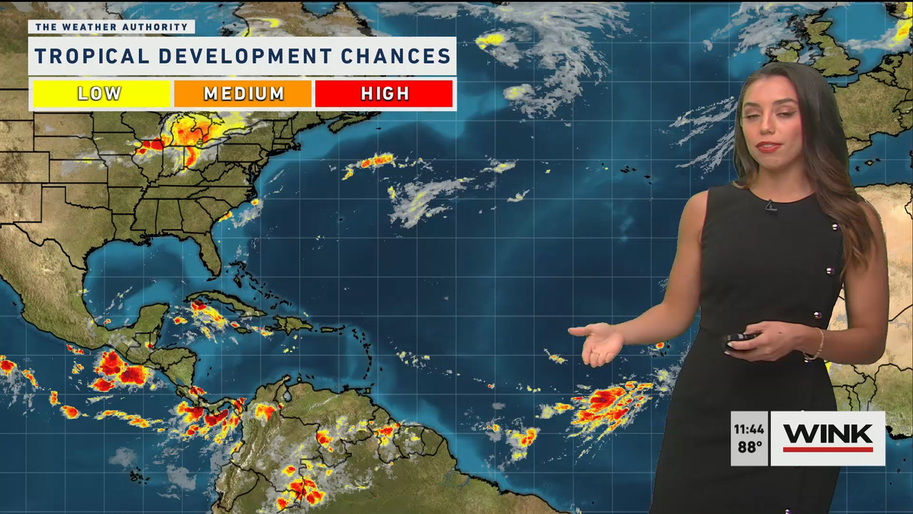WINK News at 11 30 a.m. Sunday 2022_07_24_16_30_00.ts_snapshot_17.57.516