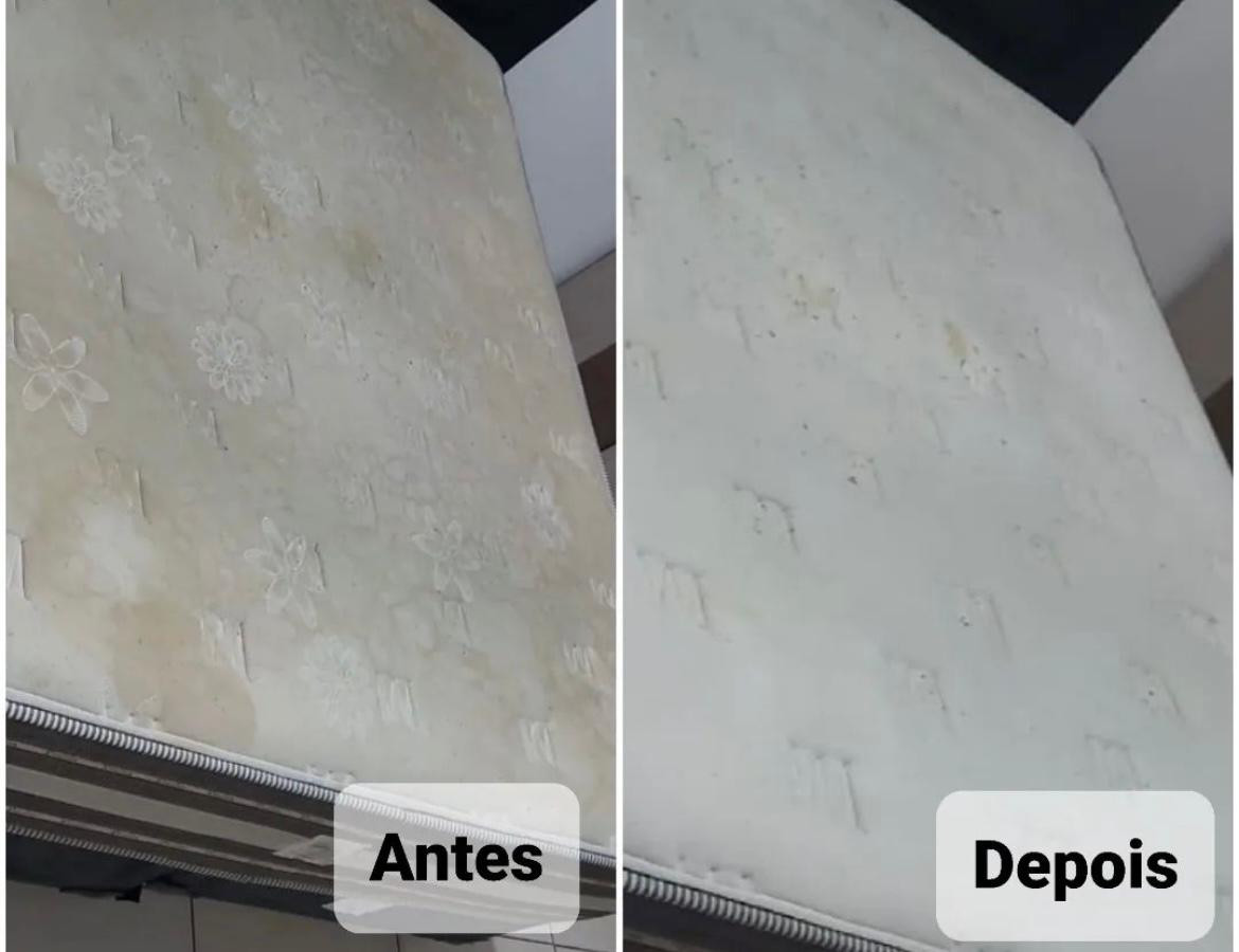 Higienização de Estofados e Saúde