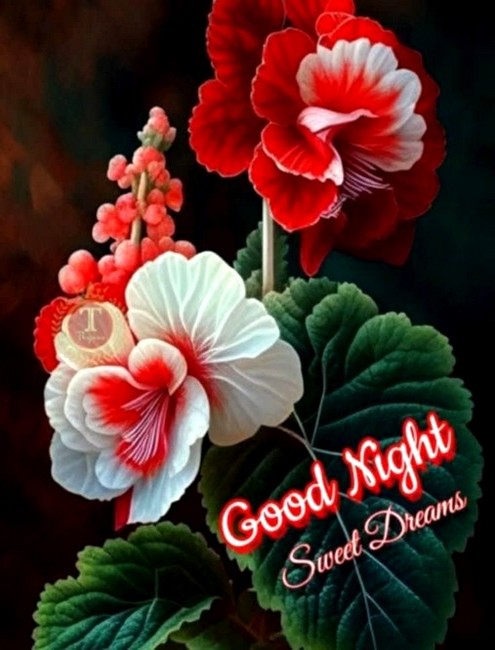 nightt