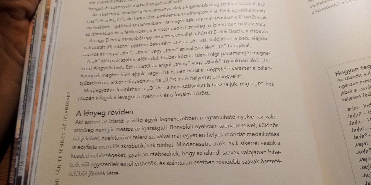 Kép