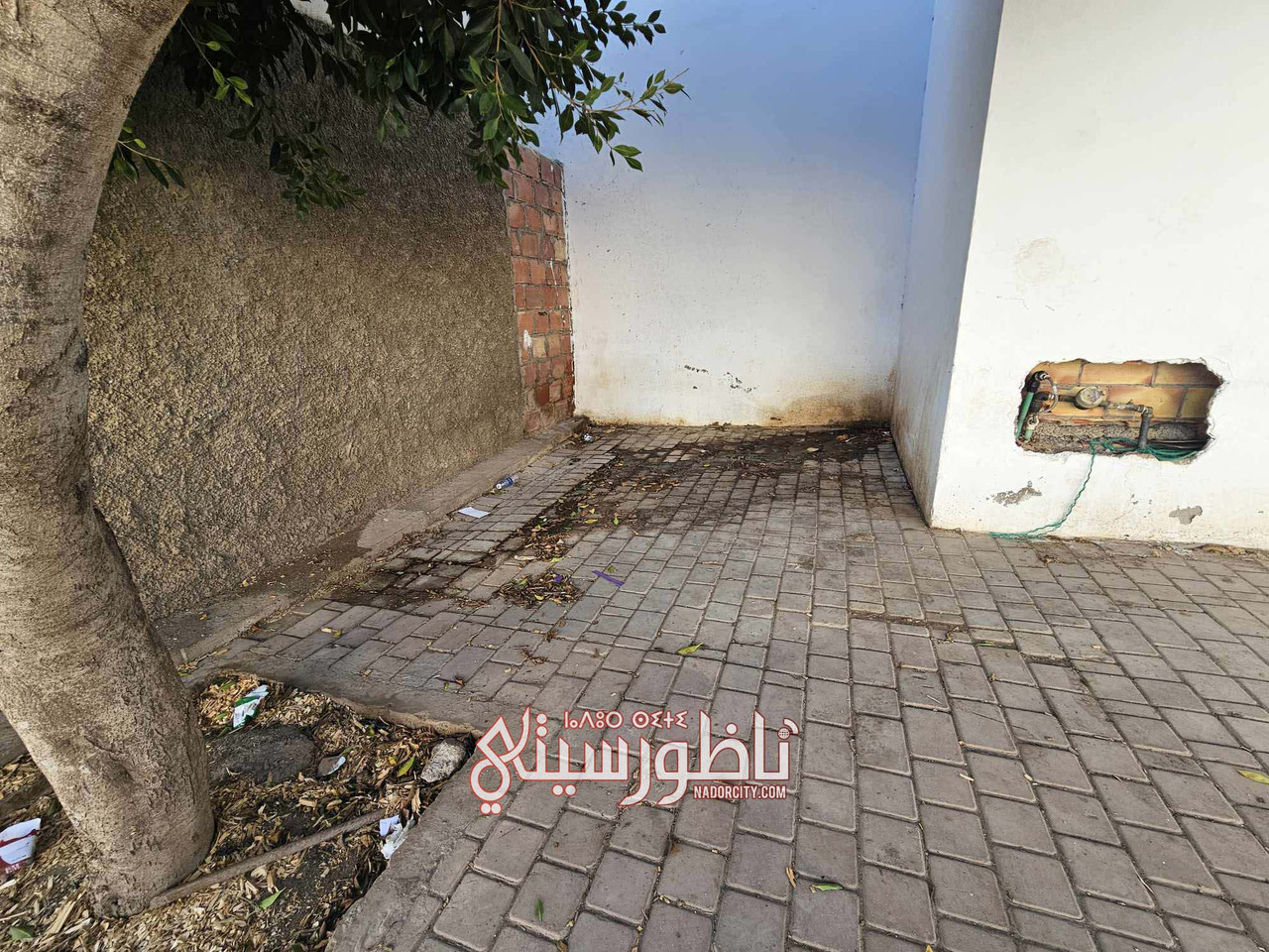 568340811-1371362157701520-8408144439763818533-n