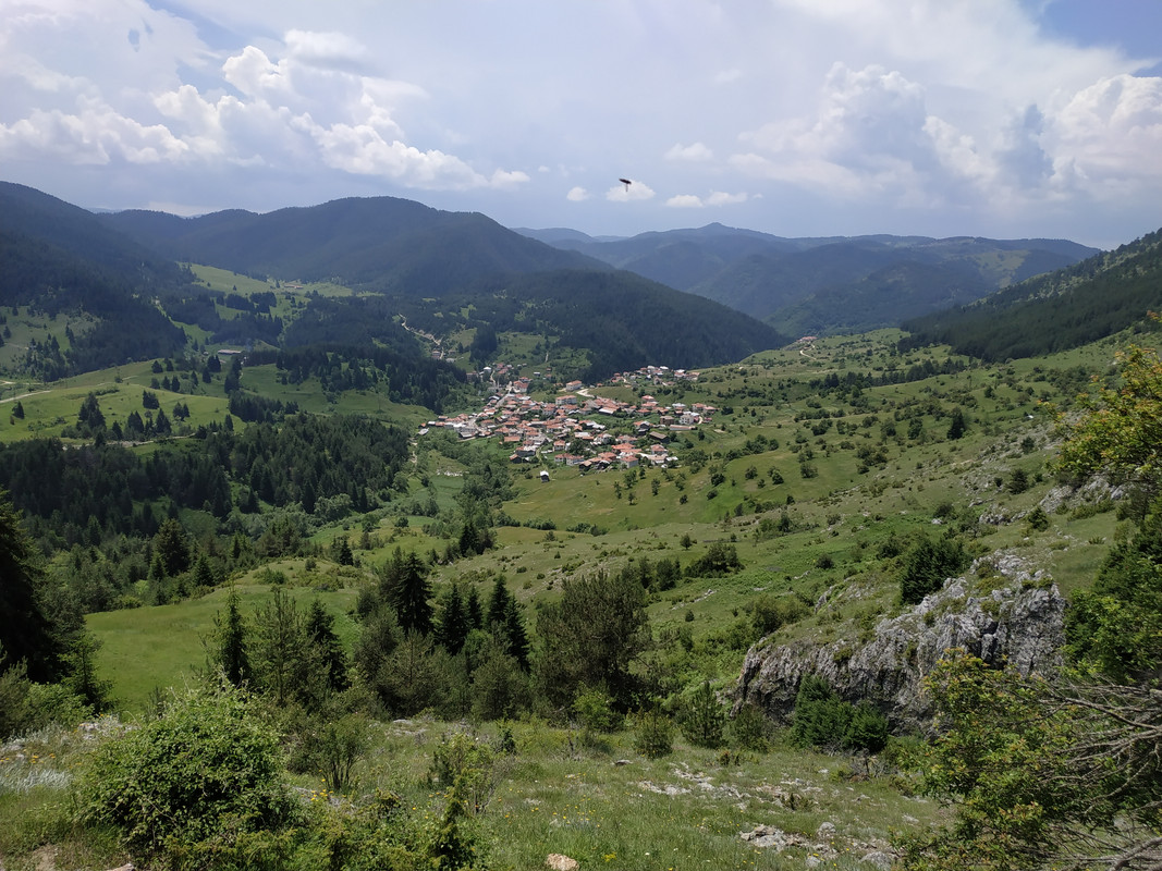 IMG_20190628_135254