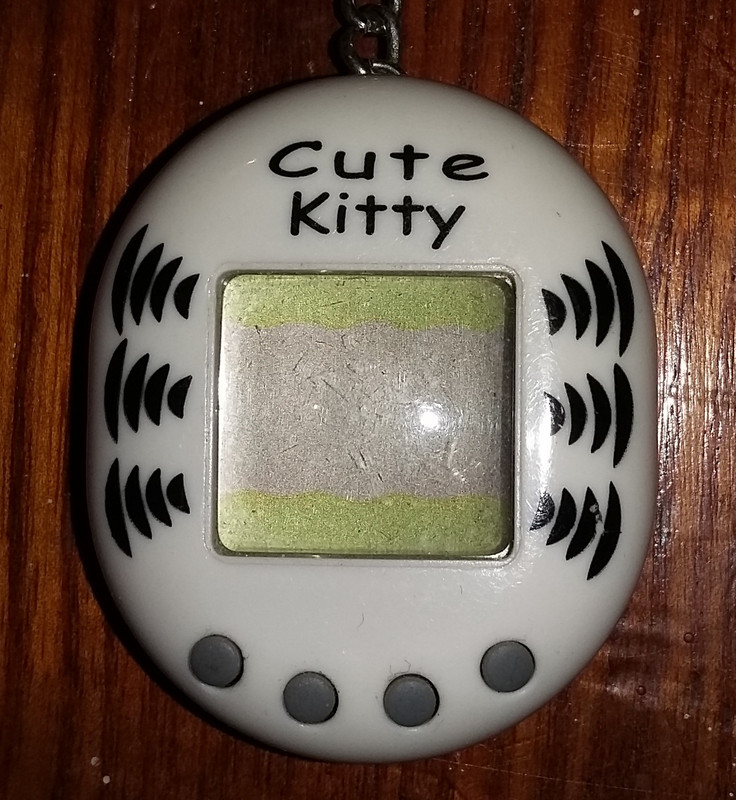 Cute Kitty Cute Kitty