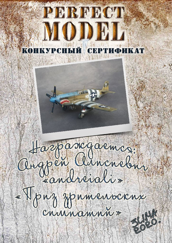 Зимний диплом зрит симп