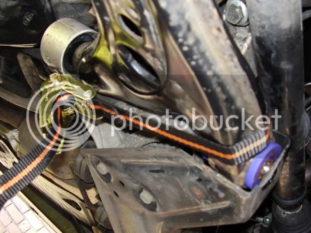 PB300052.webp