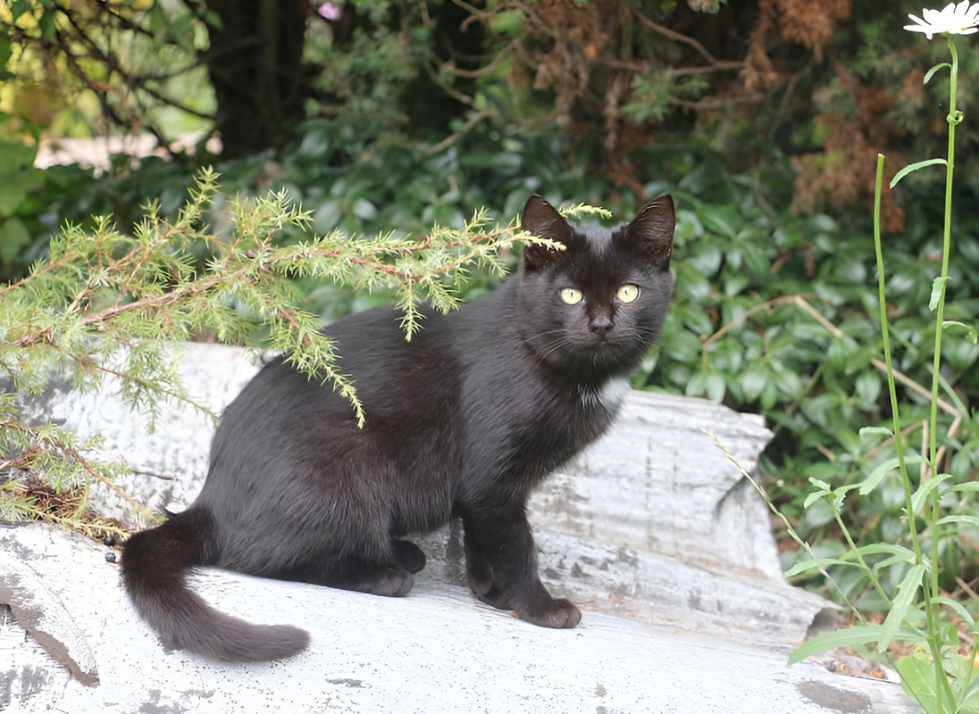 59e9f617-28e4-4198-994b-2e30c9fdc441