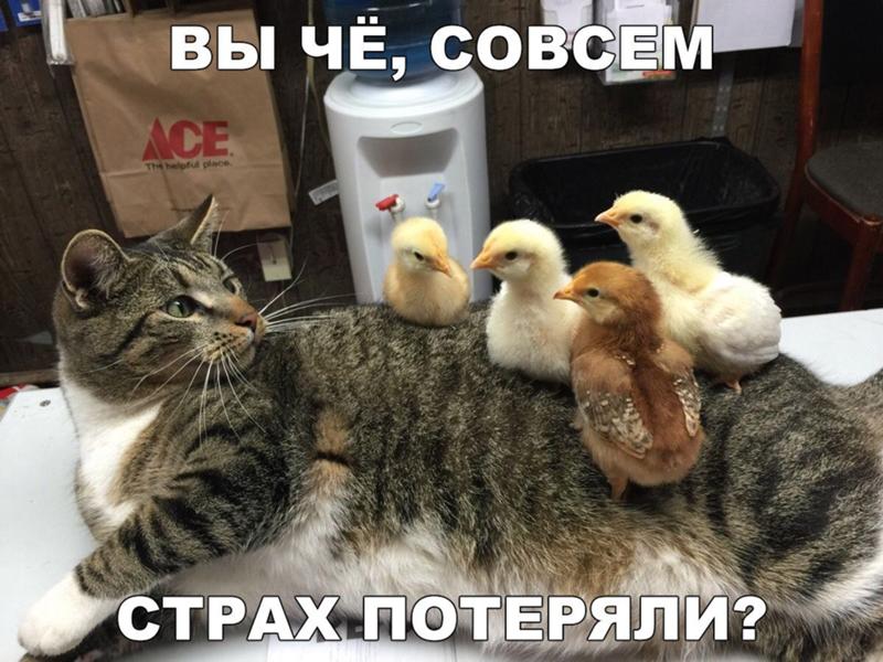 36342373-dca06719aed045f418c3ab99044660c