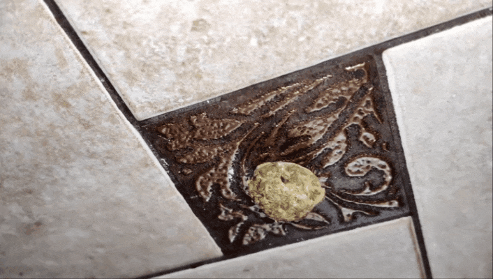 GIF-20250609-070045-469.gif