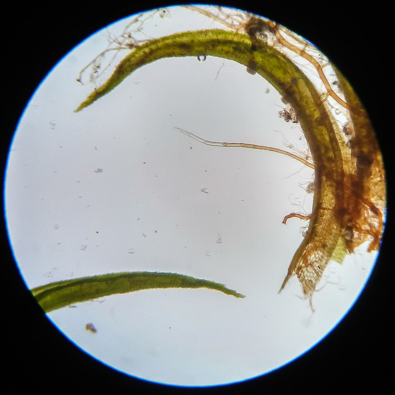 IMG 20250617 124129 HDR