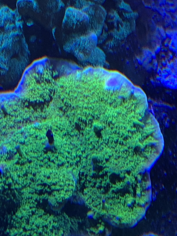 C364B3FC-DE47-4D3B-B1C5-851F2F3CBD35