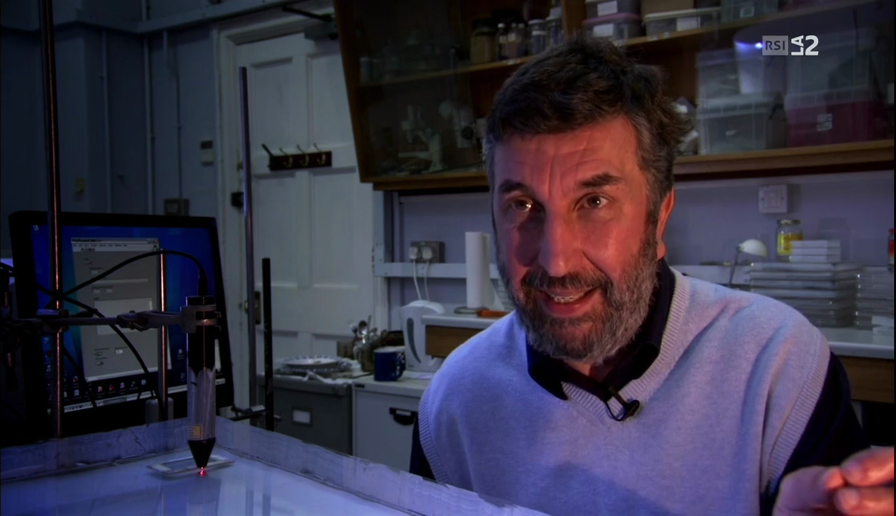 vlcsnap-2016-12-08-07h11m24s354