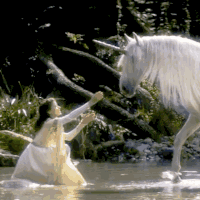 high-adventure-av2.gif