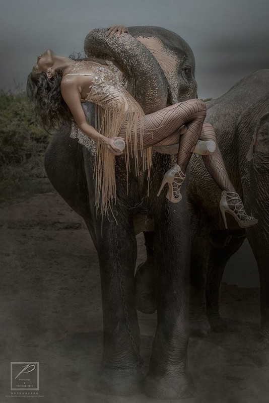 77702EC5-EC4D-4B0C-80A4-94F11E3666BE