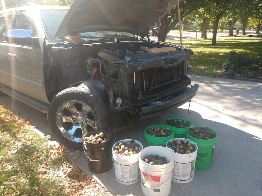 [Image: imrs-php-2.jpg]