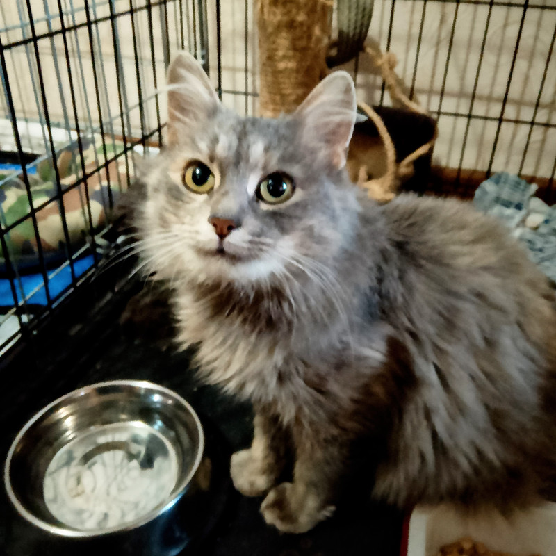 IMG 20251120 140842 2