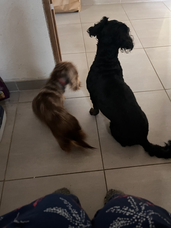 [Image: IMG-1362.jpg]