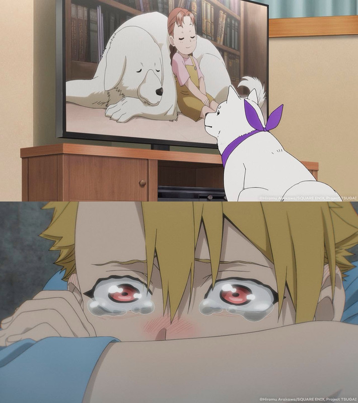 full.jpg