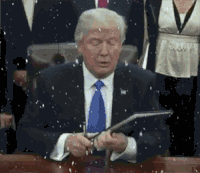 tramp-pokazyvaet-her.gif