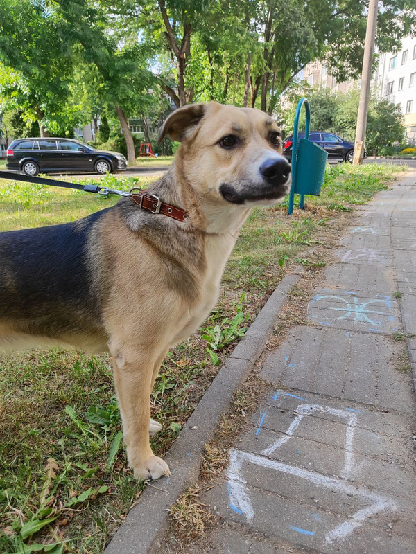 photo_2023-09-26_16-14-04