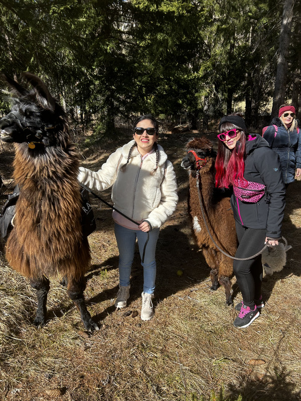 7277A2DA-0EAC-4E1E-9CB7-DC3D50BB8D69