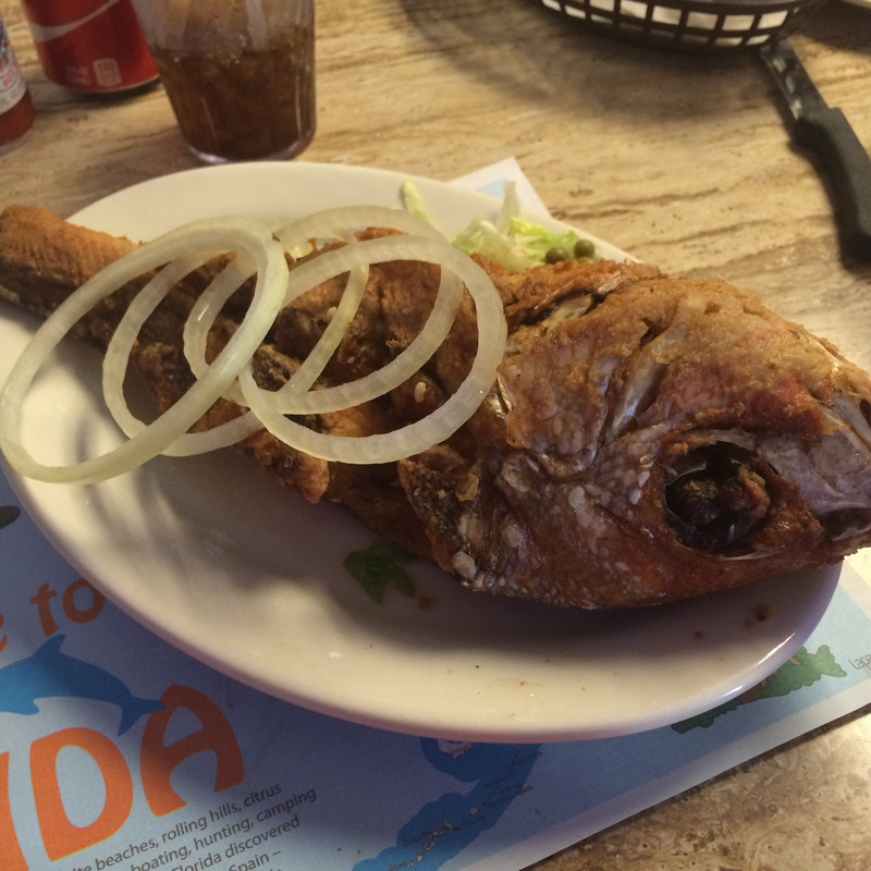 0704A8A6-E60C-462C-96F7-4E13C6B2A393