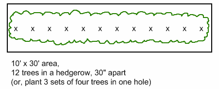high-density-planting-03
