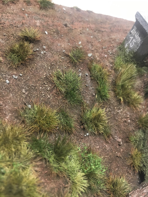 F3B8D116-FF51-4260-B0F6-8D69E6B08778