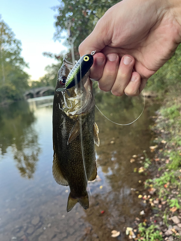 6463FCFD-4ED4-4F5D-83BA-AB1449C1EB9B