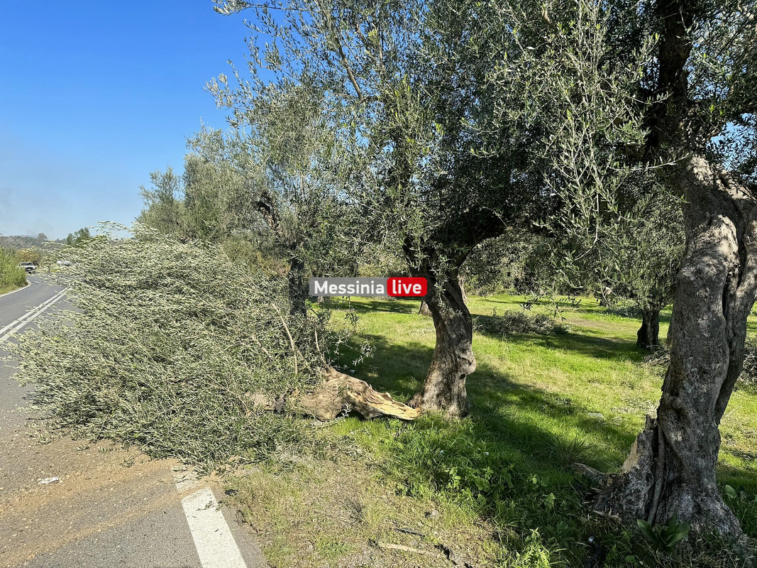 ΤΡΟΧΑΙΟ410027642_903490531236159_2138898790934171665_n