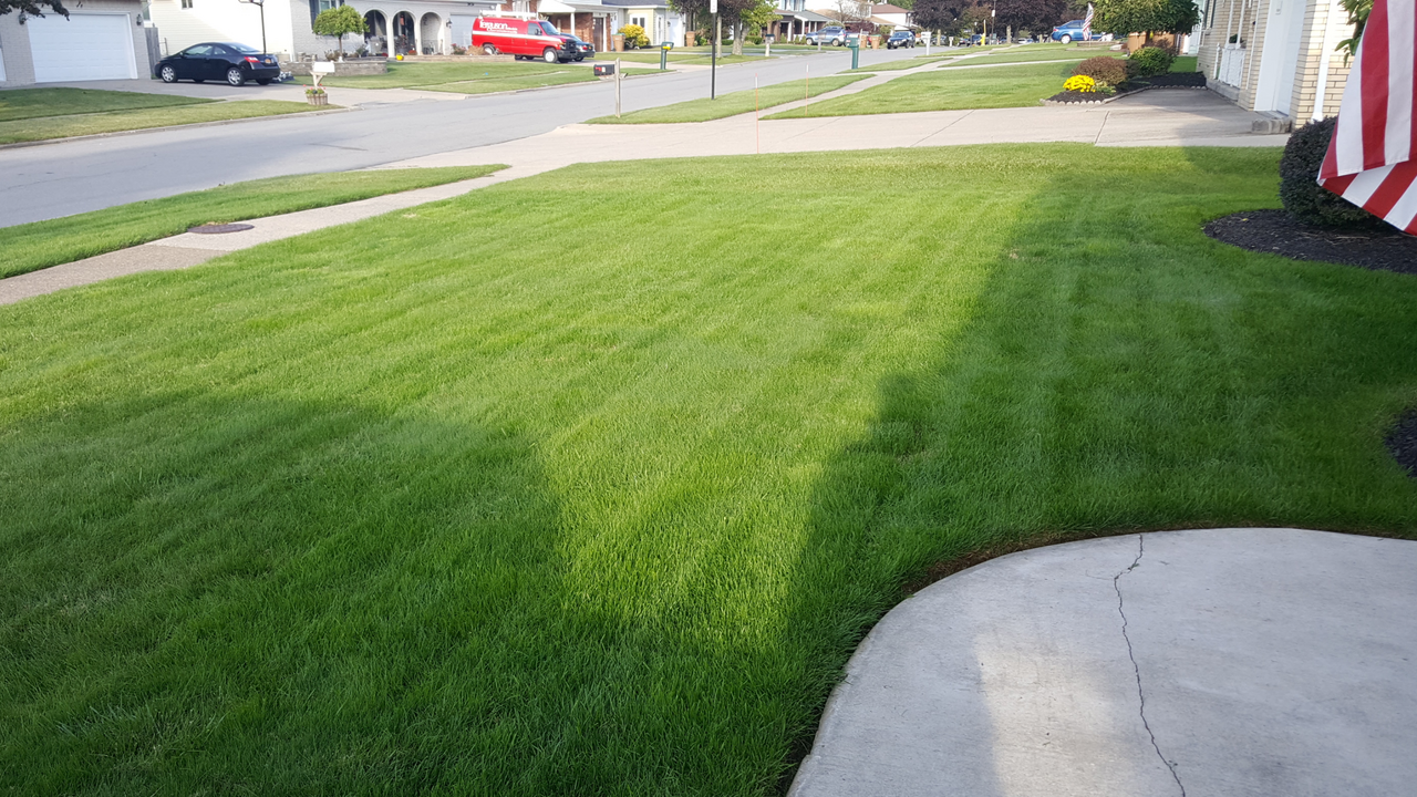 Screenshot_20170911-175959