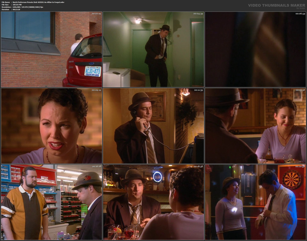 Butch Patterson Private Dick S03E01 An Affair to Forget.mkv