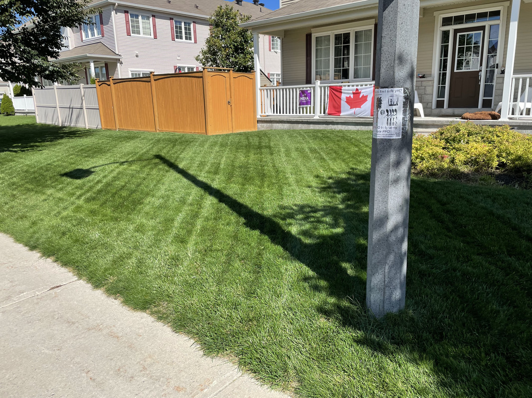 16FAF8C0-C041-45EE-B40C-000EFAFB5C65