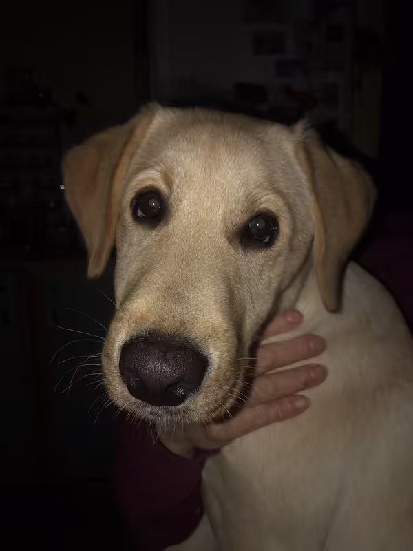 2257D37E-0482-444D-8F3F-E71901A356D0