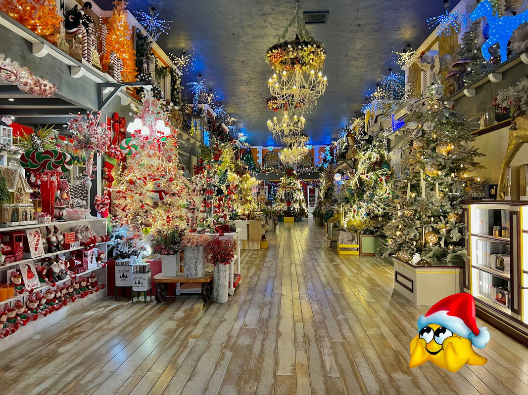 Regno di Babbo Natale Vetralla (VR) - Quootip