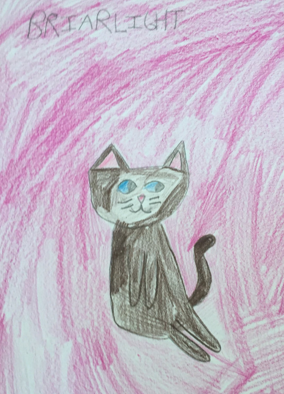 E0DE72BC-7CBB-48BF-9C10-A4239BA3995D