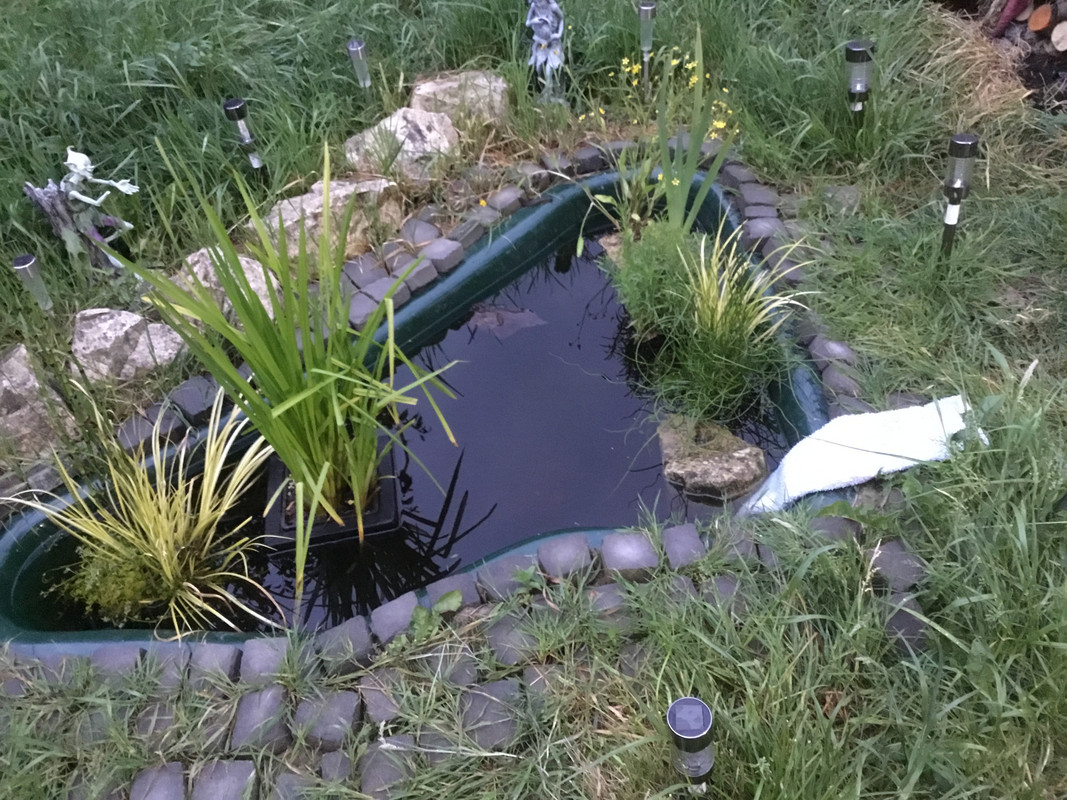 02F96B75-A4AF-4C94-8751-2E8B837A75A1