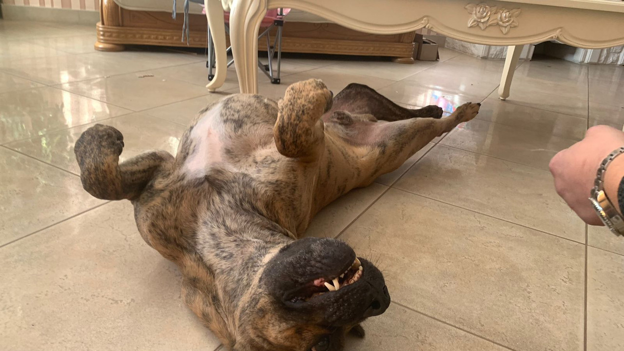 E182B739-F506-4D9E-9861-2B3CDA09F5B6