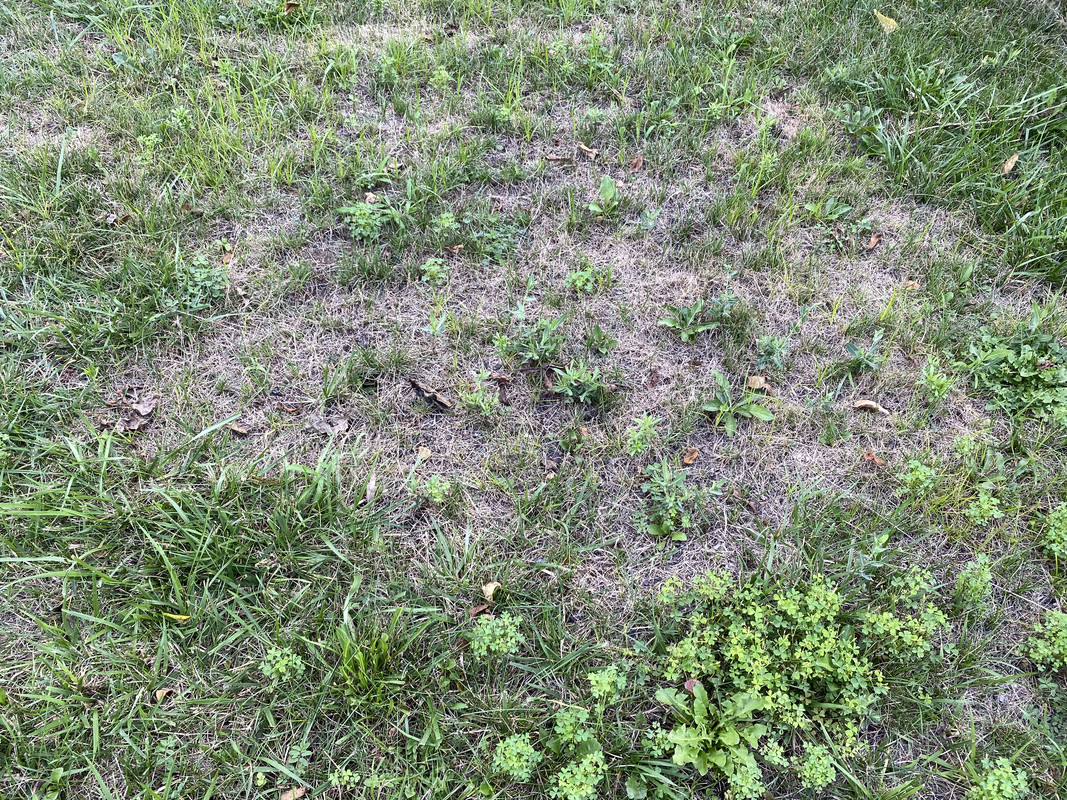 5407D363-7991-4DD2-852F-6329D773B7C6