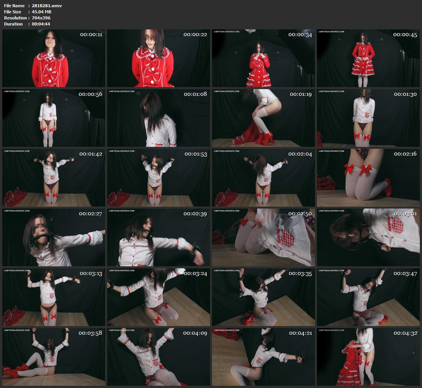 281B281.wmv