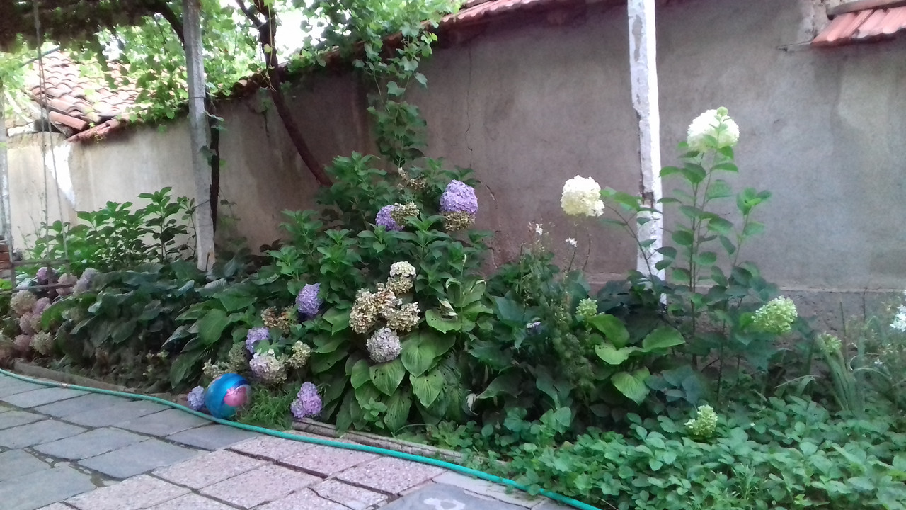 20190715_204336