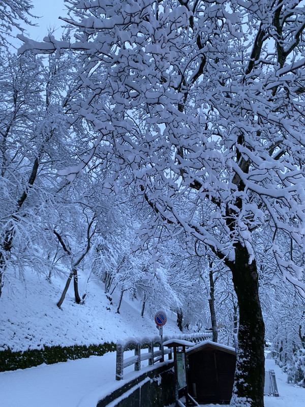 9AF38175-526A-4B0B-BCBC-B32C916267C6